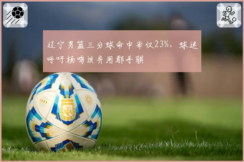 辽宁男篮三分球命中率仅23%，球迷呼吁杨鸣该弃用鄢手骐