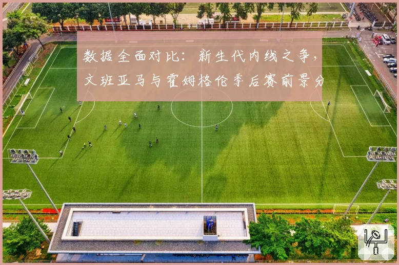 数据全面对比：新生代内线之争，文班亚马与霍姆格伦季后赛前景分析